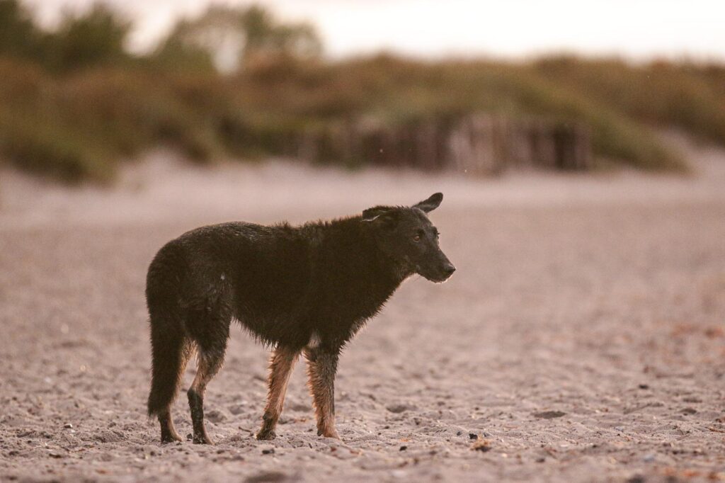 Mitarbeiterin Stella