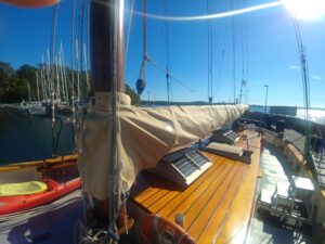 Baumkleid beige zum Schutz des Segels vor Witterungseinflüssen